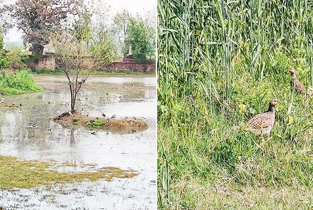 Professional-And-Amateur-Ornithologists-min (1)